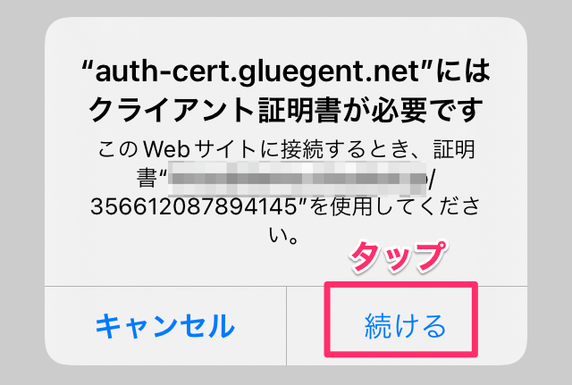 39IMG_9065_PNG____________.png