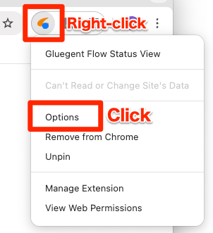 Right-click browser extension button then click Options-EN