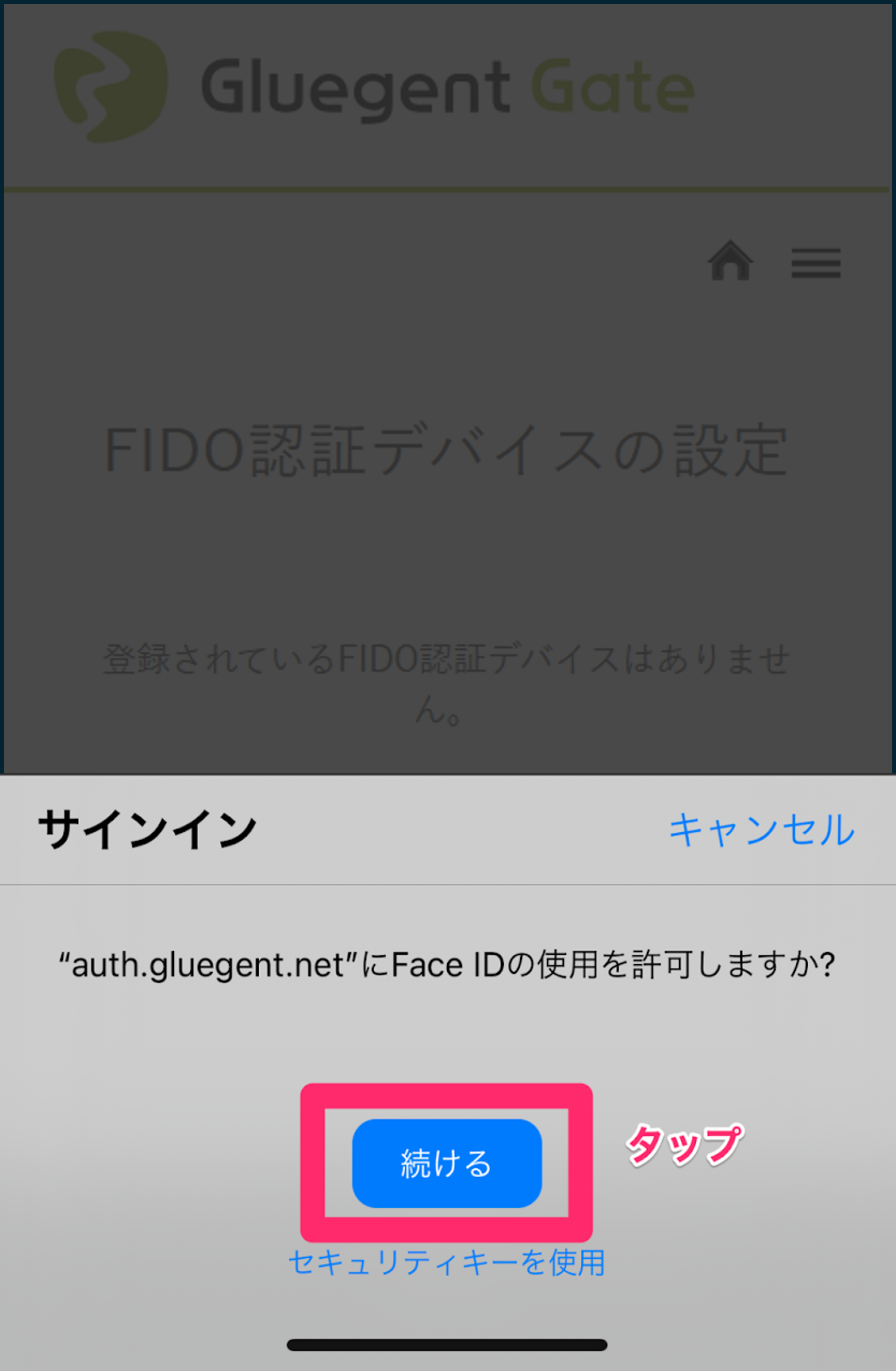4FIDO認証デバイスの設定4.png