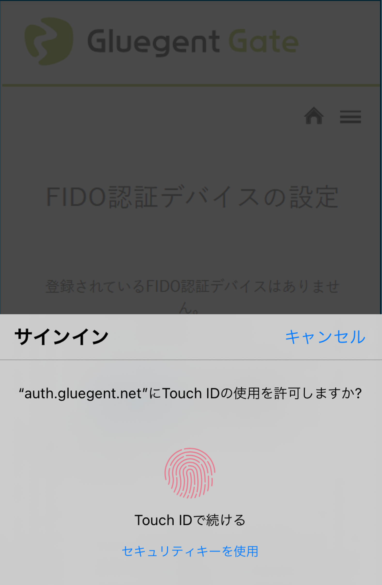 4FIDO認証デバイスの設定4.png