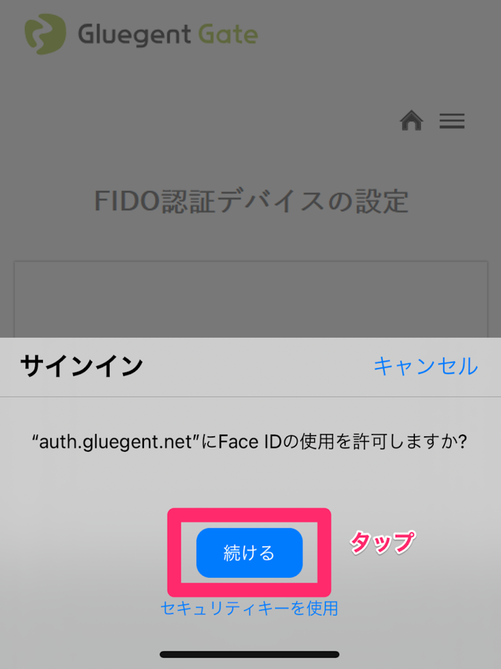 FIDO認証 - 3. エンドユーザー側での設定方法と利用方法(FaceID)4.png