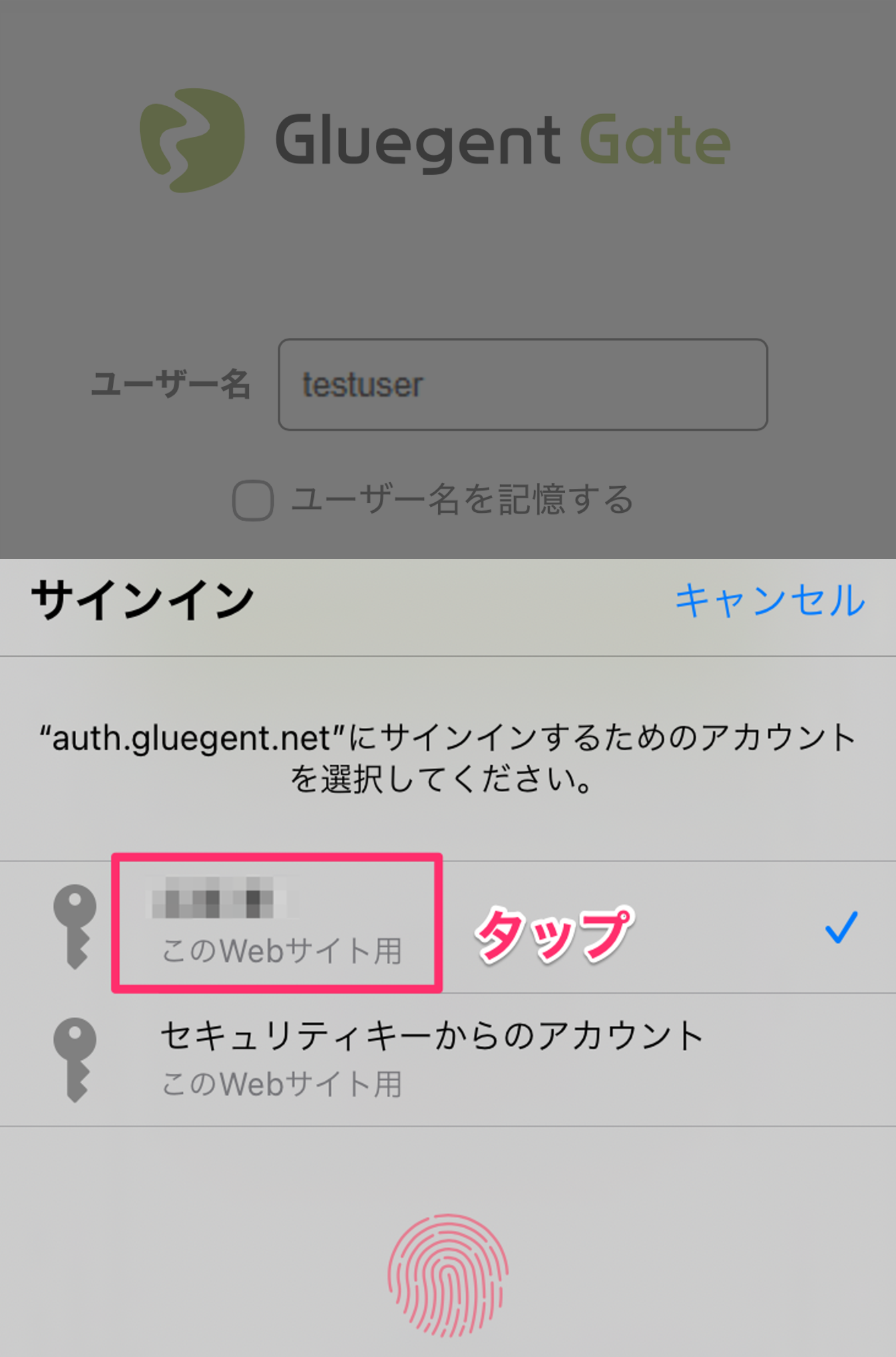 FIDO認証 - 4. エンドユーザー側での設定方法と利用方法(TouchID)2.png